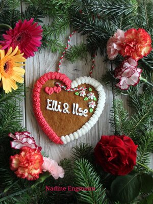 cover image of Elli und Ilse